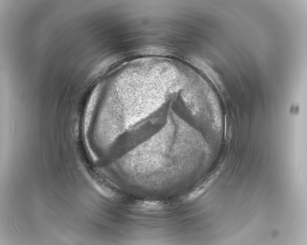 X0000093730157200711131046