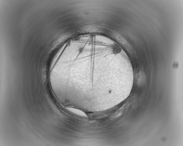 X0000093730158200711131046