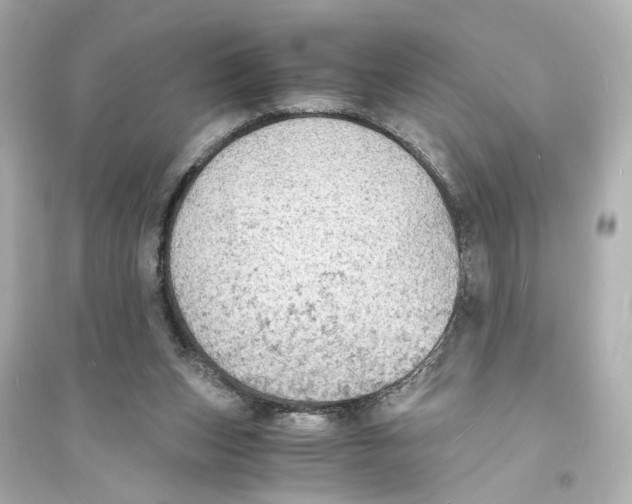 X0000093730159200711131046