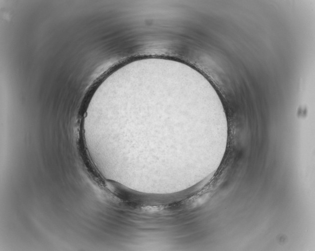 X0000093730160200711131046