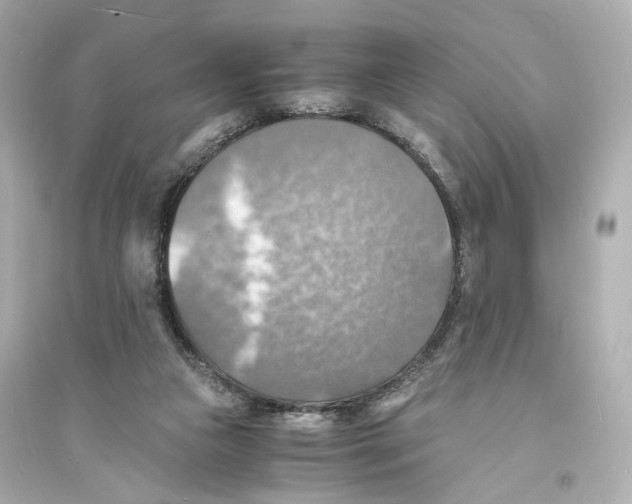 X0000093730161200711131046