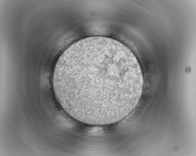X0000093730162200711131046