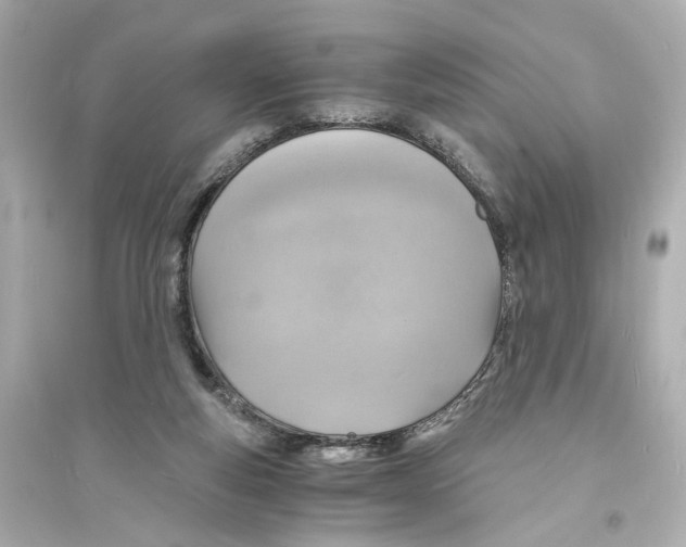 X0000093730163200711131046