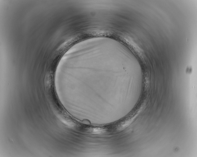 X0000093730165200711131046