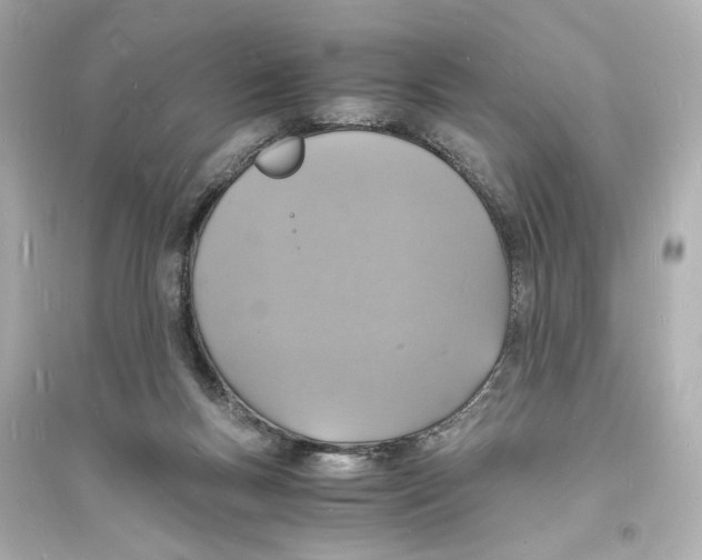 X0000093730167200711131046