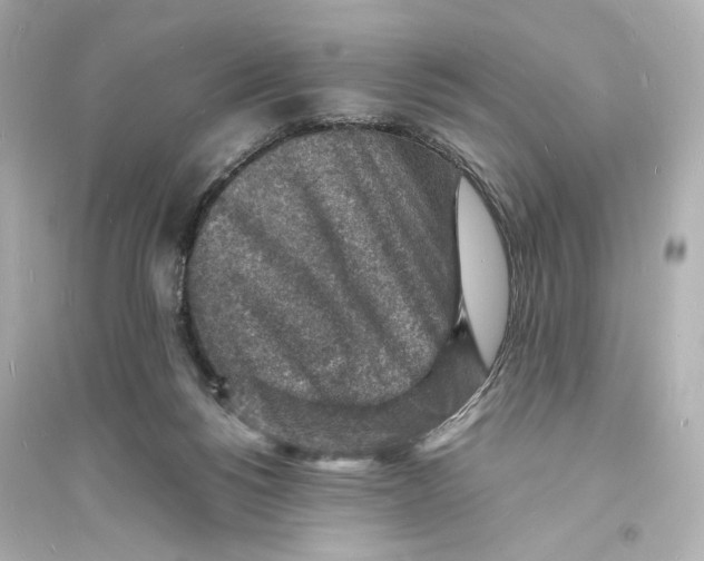 X0000093730168200711131046