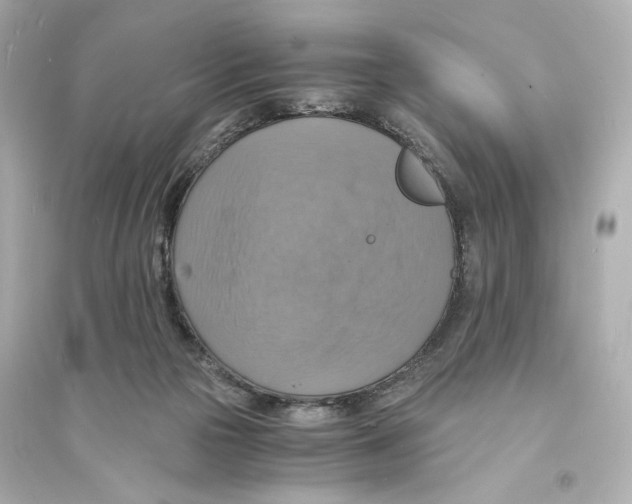 X0000093730169200711131046