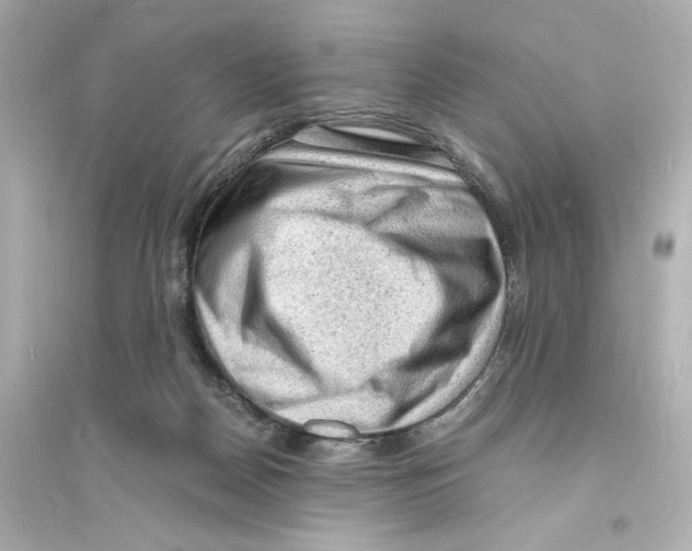 X0000093730170200711131046
