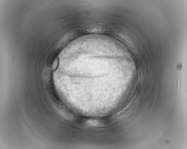 X0000093730171200711131046