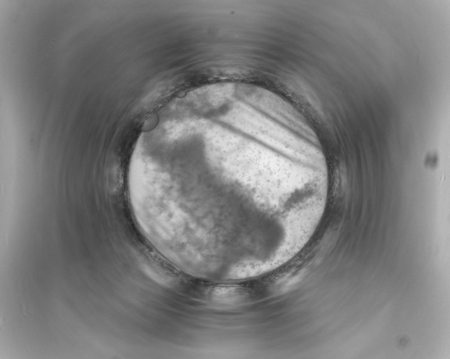 X0000093730173200711131046