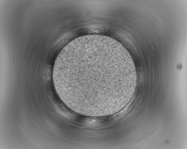 X0000093730174200711131046