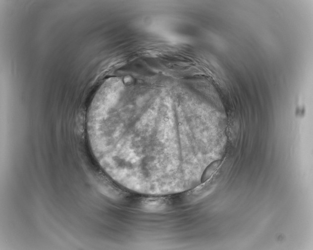 X0000093730175200711131047