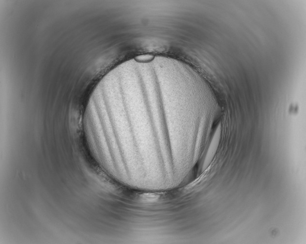 X0000093730176200711131047