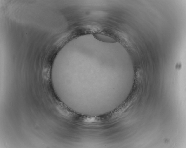 X0000093730177200711131047
