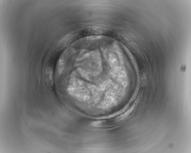 X0000093730178200711131047