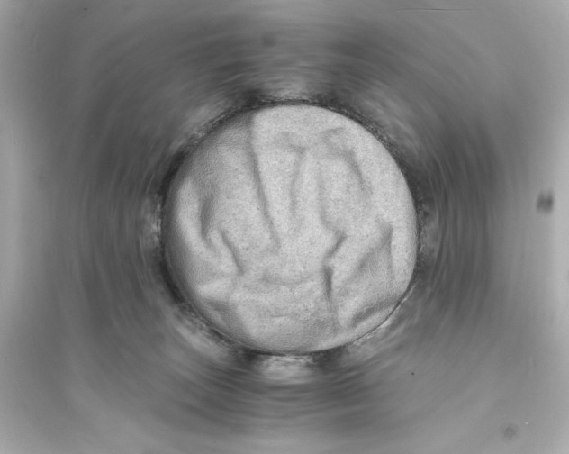 X0000093730179200711131047