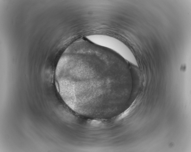 X0000093730180200711131047