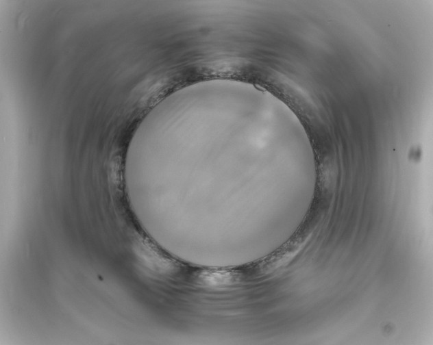 X0000093730181200711131047