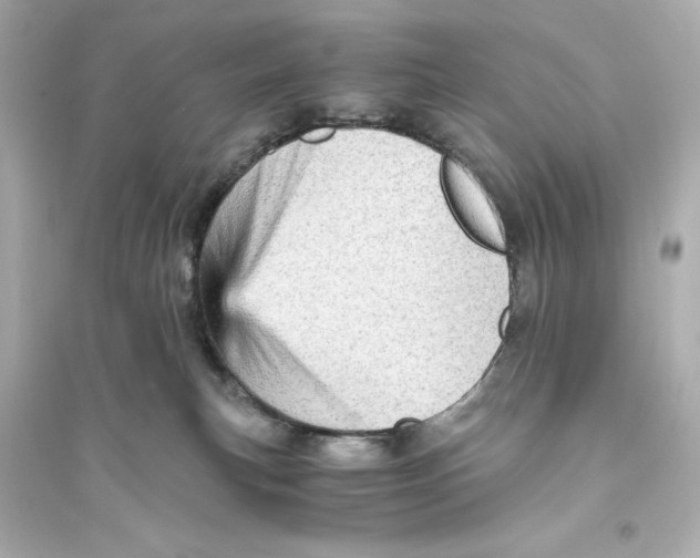 X0000093730183200711131047