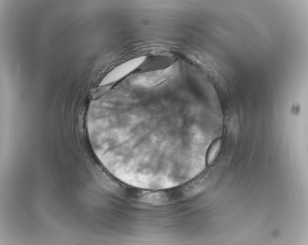 X0000093730185200711131047