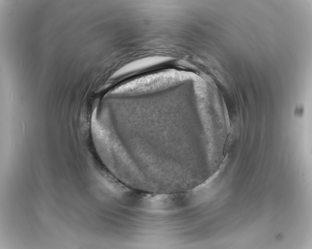 X0000093730186200711131047