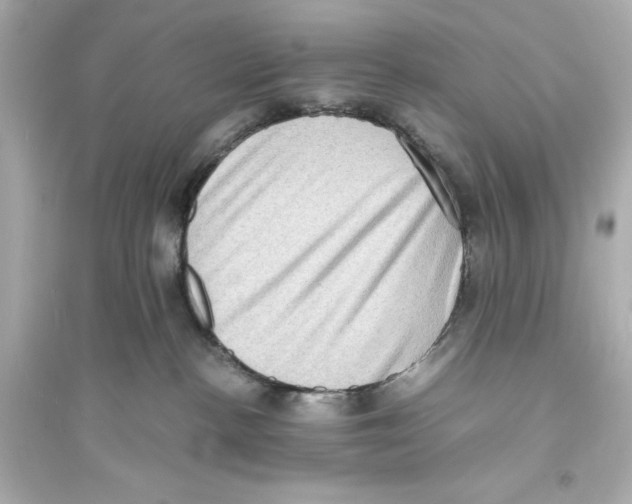 X0000093730188200711131047