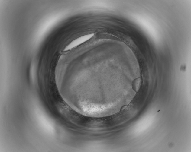 X0000093730189200711131047