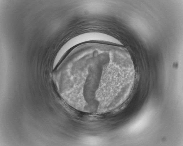 X0000093730190200711131047
