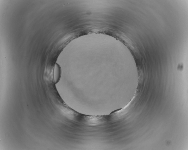 X0000093730191200711131047