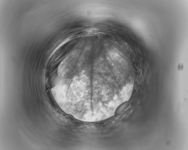 X0000093730194200711131046