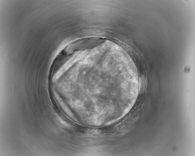 X0000093730195200711131046