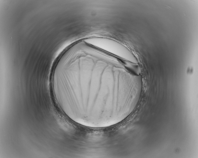 X0000093730196200711131046