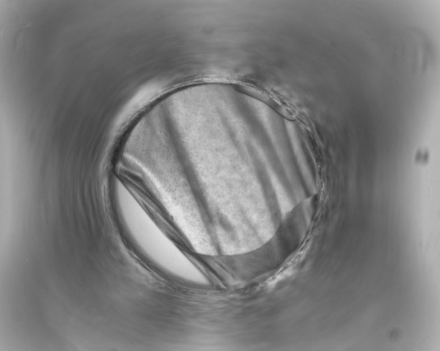X0000093730197200711131046