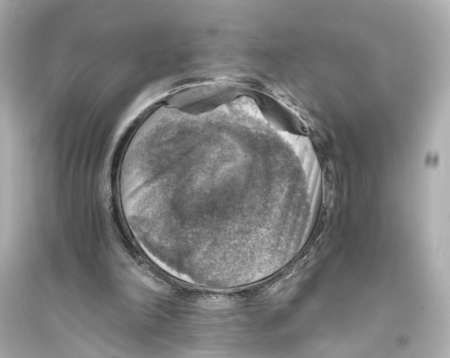 X0000093730198200711131046