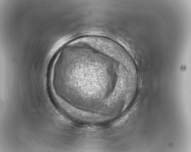 X0000093730199200711131046