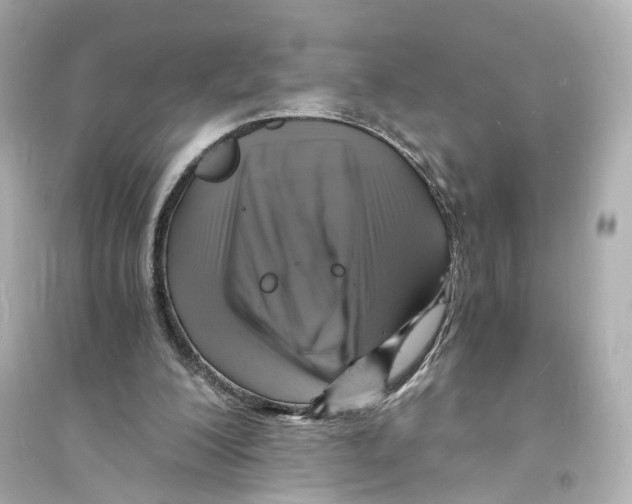 X0000093730200200711131046
