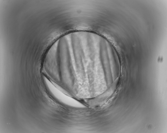 X0000093730201200711131046
