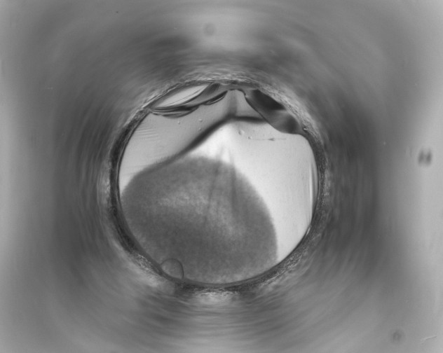 X0000093730202200711131046