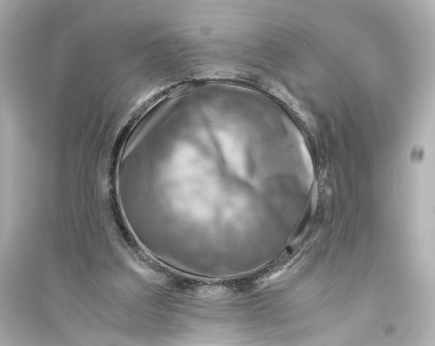 X0000093730203200711131046