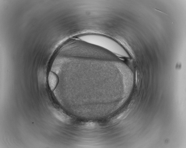 X0000093730204200711131046
