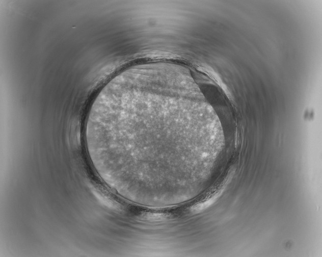 X0000093730205200711131046