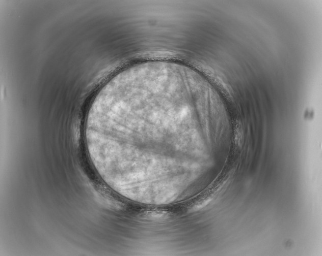 X0000093730206200711131046