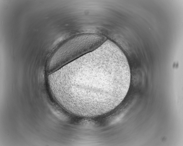 X0000093730207200711131046