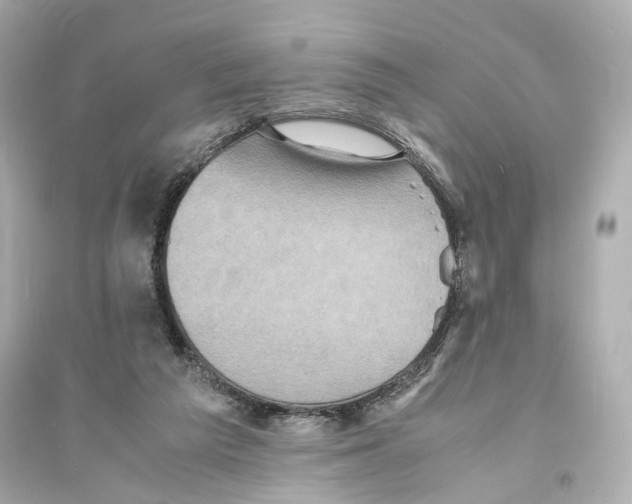 X0000093730209200711131046