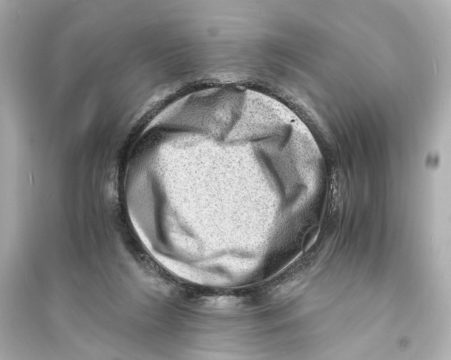 X0000093730212200711131046