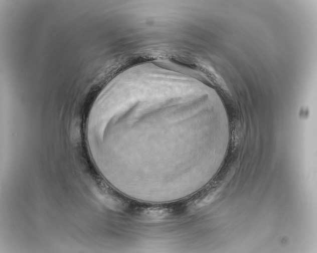 X0000093730213200711131046