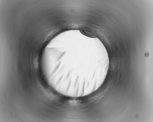 X0000093730216200711131046