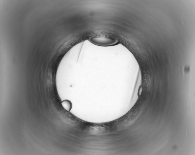 X0000093730220200711131046