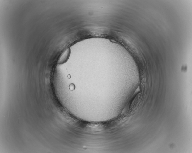 X0000093730221200711131046