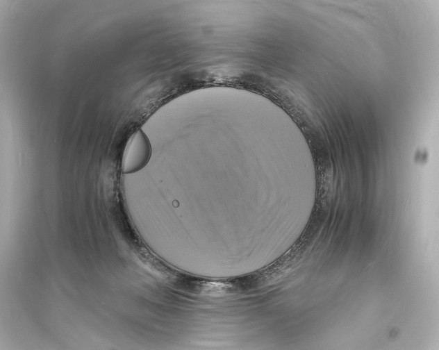 X0000093730222200711131046